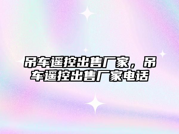 吊車遙控出售廠家，吊車遙控出售廠家電話