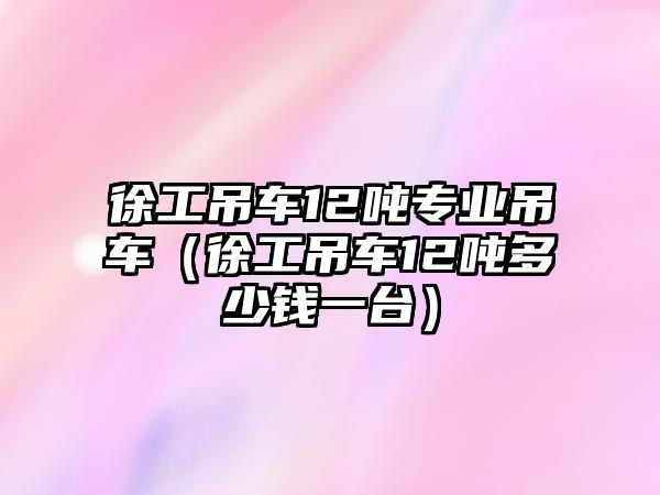 徐工吊車12噸專業(yè)吊車（徐工吊車12噸多少錢一臺）