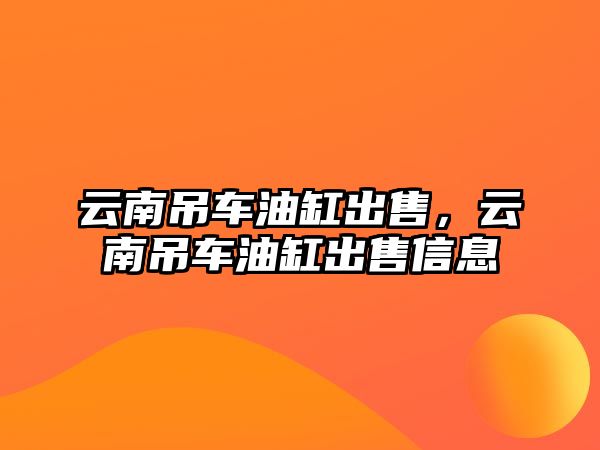 云南吊車油缸出售，云南吊車油缸出售信息