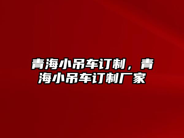 青海小吊車訂制，青海小吊車訂制廠家