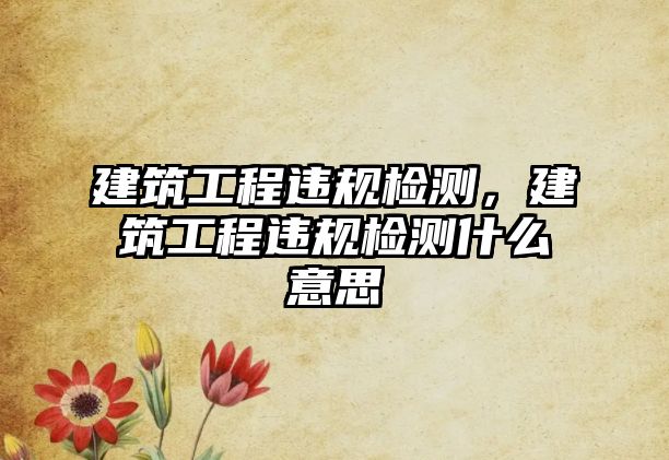 建筑工程違規(guī)檢測，建筑工程違規(guī)檢測什么意思