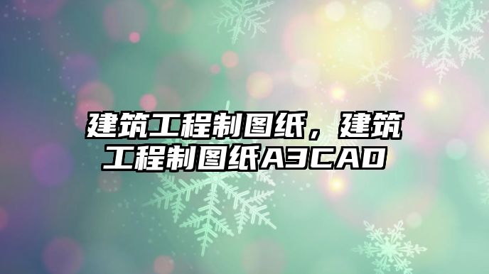 建筑工程制圖紙，建筑工程制圖紙A3CAD