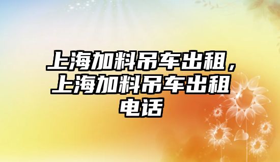 上海加料吊車出租，上海加料吊車出租電話