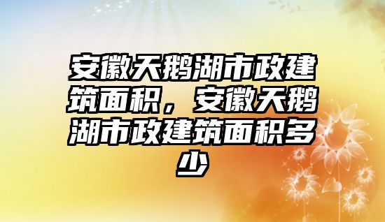 安徽天鵝湖市政建筑面積，安徽天鵝湖市政建筑面積多少