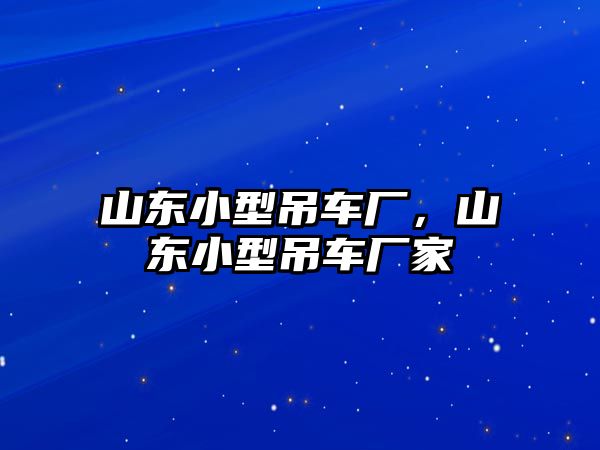 山東小型吊車廠，山東小型吊車廠家