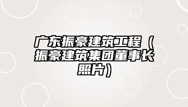 廣東振豪建筑工程（振豪建筑集團董事長照片）