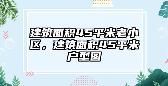 建筑面積45平米老小區(qū)，建筑面積45平米戶型圖