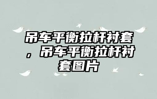 吊車平衡拉桿襯套，吊車平衡拉桿襯套圖片