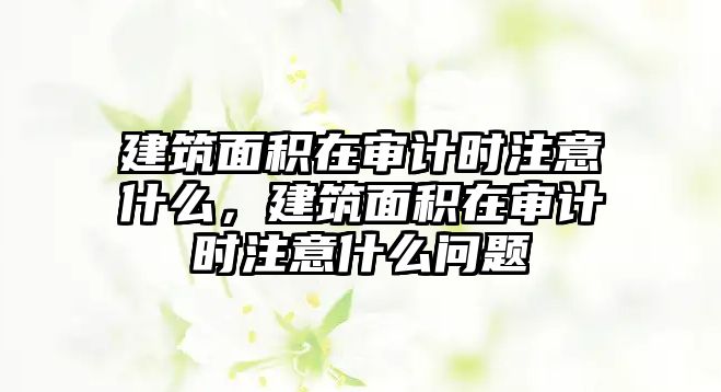 建筑面積在審計(jì)時(shí)注意什么，建筑面積在審計(jì)時(shí)注意什么問題