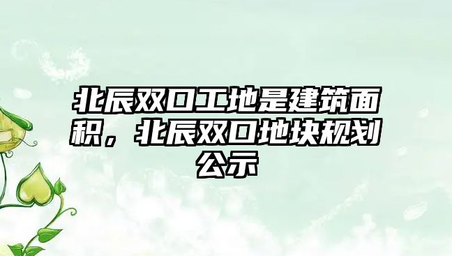 北辰雙口工地是建筑面積，北辰雙口地塊規(guī)劃公示