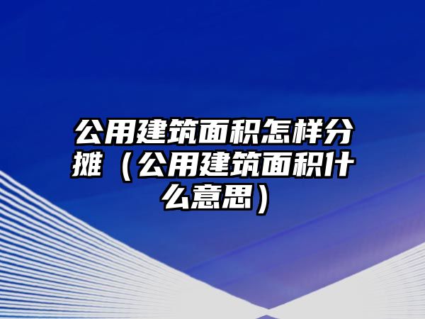 公用建筑面積怎樣分?jǐn)偅ü媒ㄖ娣e什么意思）