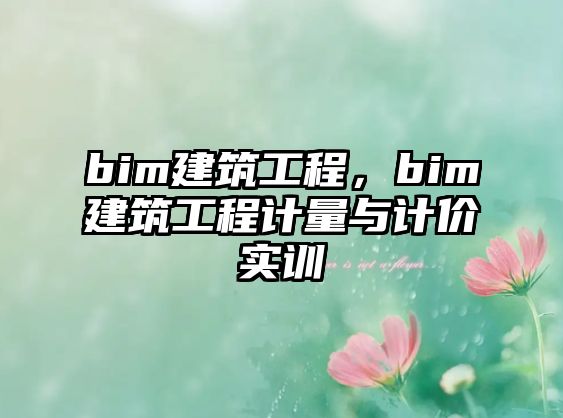 bim建筑工程，bim建筑工程計量與計價實訓(xùn)