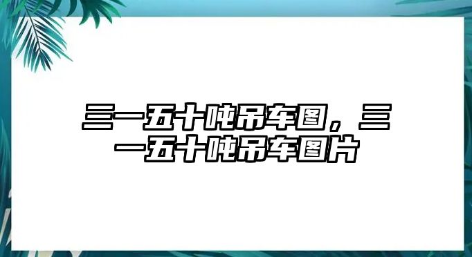 三一五十噸吊車圖，三一五十噸吊車圖片