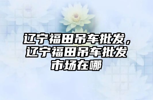 遼寧福田吊車批發(fā)，遼寧福田吊車批發(fā)市場(chǎng)在哪