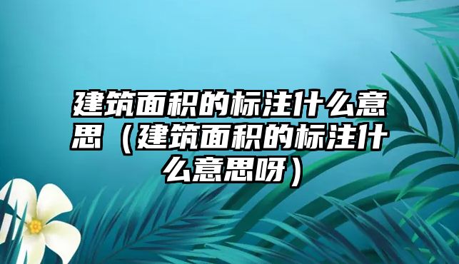 建筑面積的標(biāo)注什么意思（建筑面積的標(biāo)注什么意思呀）