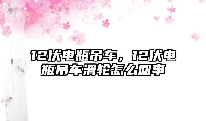 12伏電瓶吊車，12伏電瓶吊車滑輪怎么回事