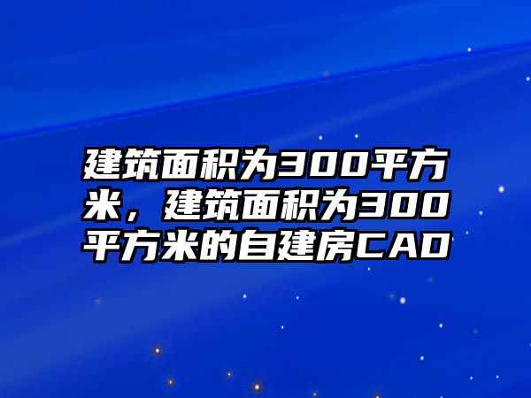 建筑面積為300平方米，建筑面積為300平方米的自建房CAD