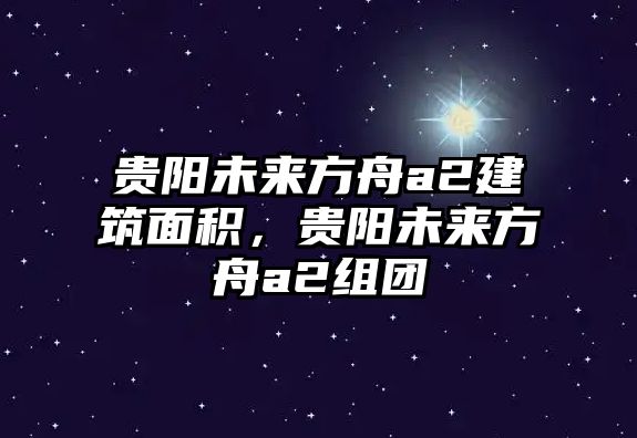 貴陽(yáng)未來(lái)方舟a2建筑面積，貴陽(yáng)未來(lái)方舟a2組團(tuán)