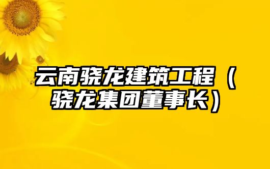 云南驍龍建筑工程（驍龍集團(tuán)董事長(zhǎng)）