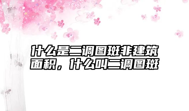 什么是二調(diào)圖斑非建筑面積，什么叫二調(diào)圖斑