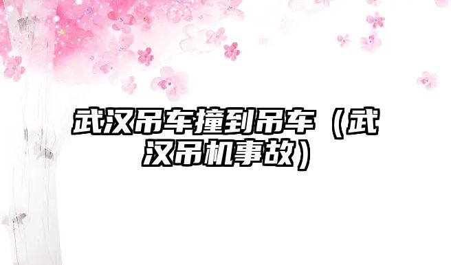 武漢吊車撞到吊車（武漢吊機事故）