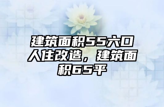 建筑面積55六口人住改造，建筑面積65平