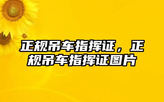 正規(guī)吊車指揮證，正規(guī)吊車指揮證圖片