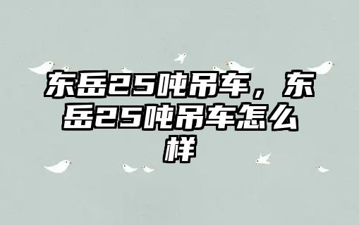 東岳25噸吊車，東岳25噸吊車怎么樣