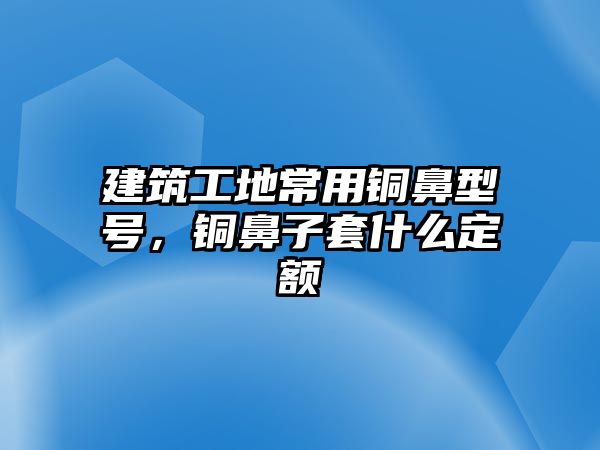 建筑工地常用銅鼻型號，銅鼻子套什么定額