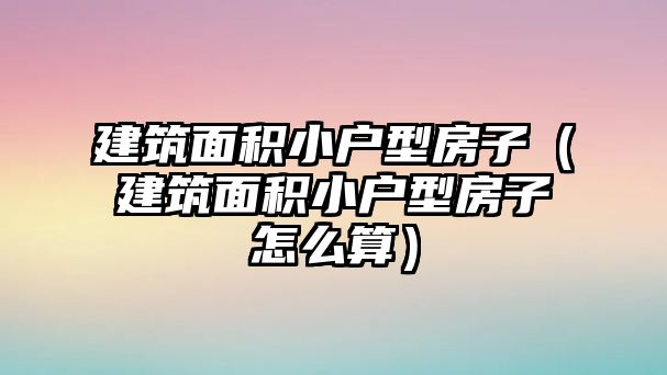 建筑面積小戶型房子（建筑面積小戶型房子怎么算）