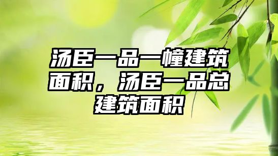 湯臣一品一幢建筑面積，湯臣一品總建筑面積