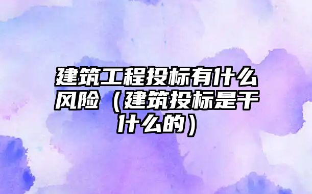 建筑工程投標(biāo)有什么風(fēng)險（建筑投標(biāo)是干什么的）