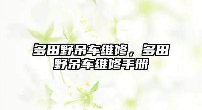 多田野吊車維修，多田野吊車維修手冊