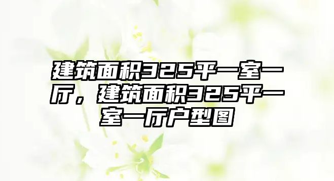 建筑面積325平一室一廳，建筑面積325平一室一廳戶型圖