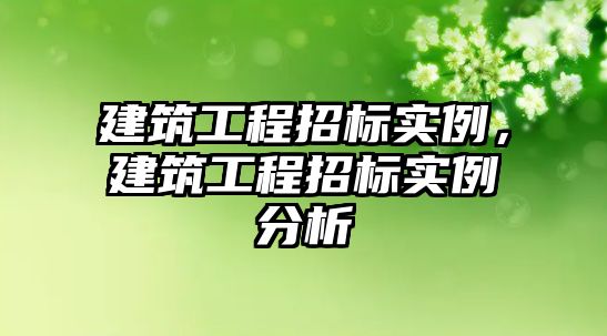 建筑工程招標實例，建筑工程招標實例分析