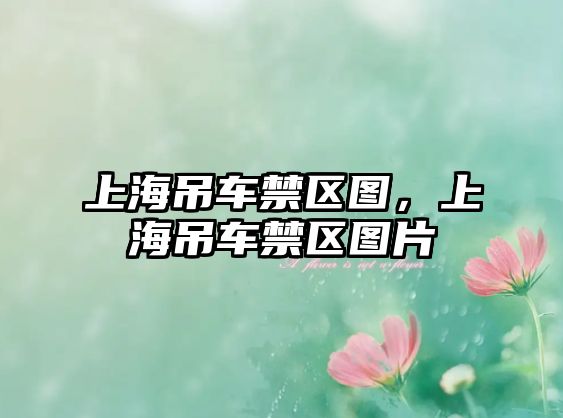 上海吊車(chē)禁區(qū)圖，上海吊車(chē)禁區(qū)圖片