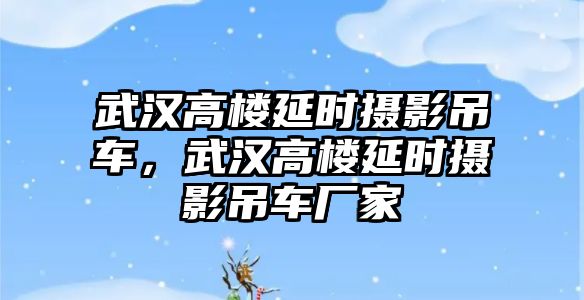 武漢高樓延時攝影吊車，武漢高樓延時攝影吊車廠家