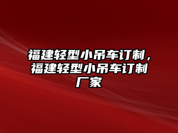 福建輕型小吊車訂制，福建輕型小吊車訂制廠家