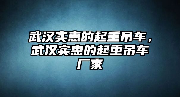 武漢實(shí)惠的起重吊車，武漢實(shí)惠的起重吊車廠家