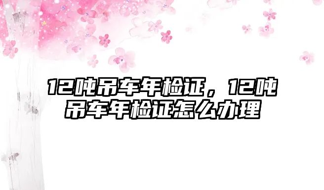 12噸吊車年檢證，12噸吊車年檢證怎么辦理